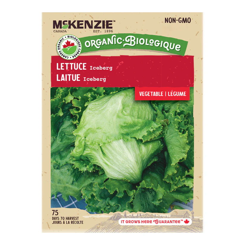 ORGANIC VEGETABLE SEEDS: LETTUCE - ICEBERG