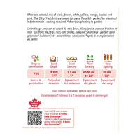 SEMENCES DE LEGUMES BIO: TOMATE - RAINBOW CHERRY