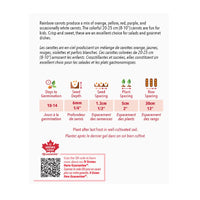 SEMENCES DE LEGUMES: CAROTTE - RAINBOW MIX