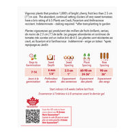 SEMENCES DE LEGUMES: TOMATE - SUPER SWEET