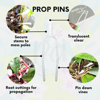 EPINGLES DE PROPAGATION DES PLANTES (EPINGLE A FRAISES) (ENSEMBLE DE 100)