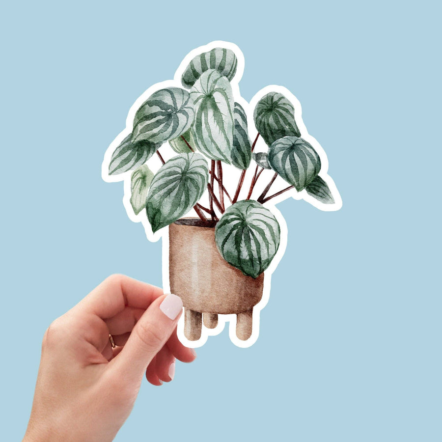 STICKER - HOUSEPLANT