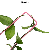 TREILLIS EN METAL - CHECK MARK