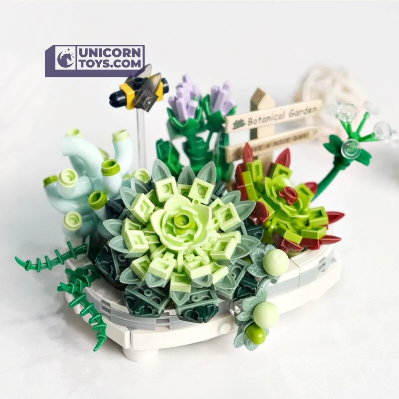 BLOCK LOZ - SUCCULENTES