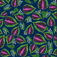 PAPIER CADEAU - COLEUS HOUSEPLANTS BLEU MARINE