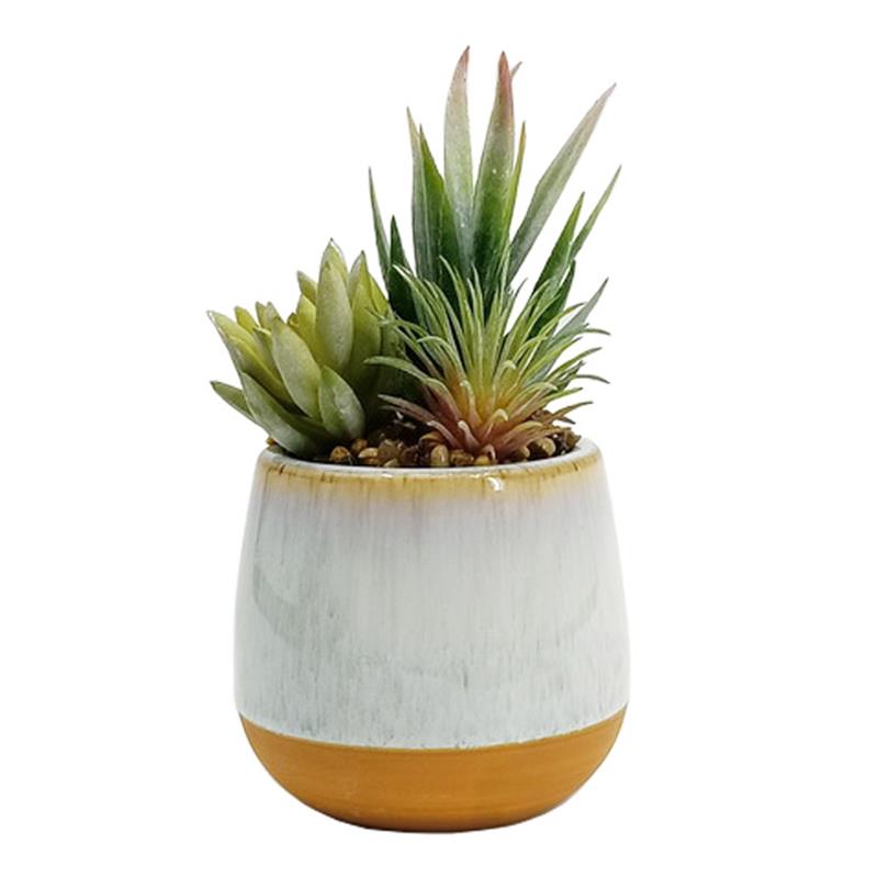 PLANTE ARTIFICIELLE - SUCCULENTE