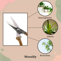 CISAILLES DE JARDIN FINES