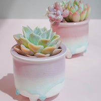 POT - ÉMAILLÉS  À GOUTTES BLEUES