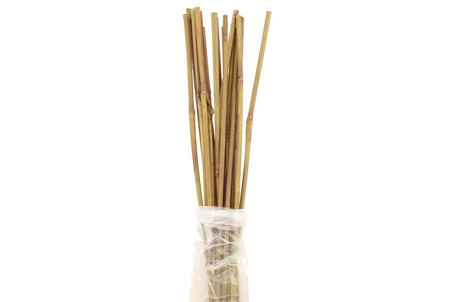 3 FT NATURAL BAMBOO STAKE 6-8MM - PACK OF 20