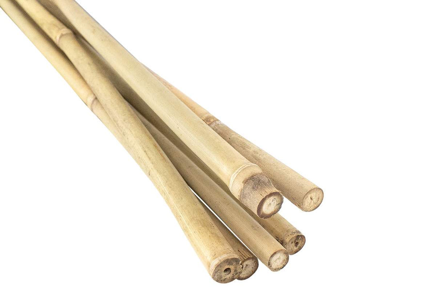 TUTEUR EN BAMBOU NATUREL - PAQUET DE 6