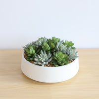 FAUX SUCCULENT SET IN WHITE LOW POT INTERIOR DECORATION