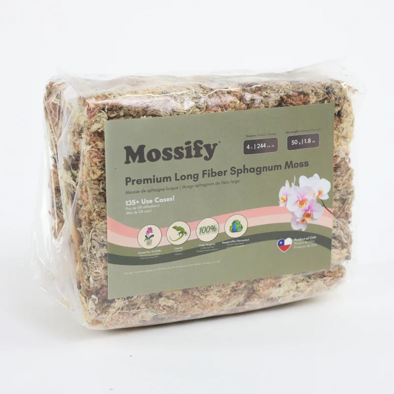 MOUSSE DE SPHAIGNE