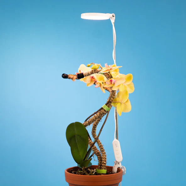 ADJUSTABLE LED PLANT GROW LIGHT