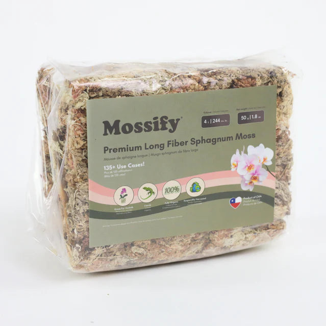 MOUSSE DE SPHAIGNE DE QUALITÉ SUPÉRIEURE