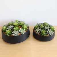 SUPERB ARTIFICIAL SUCCULENT ARRANGEMENT IN DECORATIVE BLACK INDOOR POT