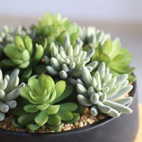 SUPERB ARTIFICIAL SUCCULENT ARRANGEMENT IN DECORATIVE BLACK INDOOR POT