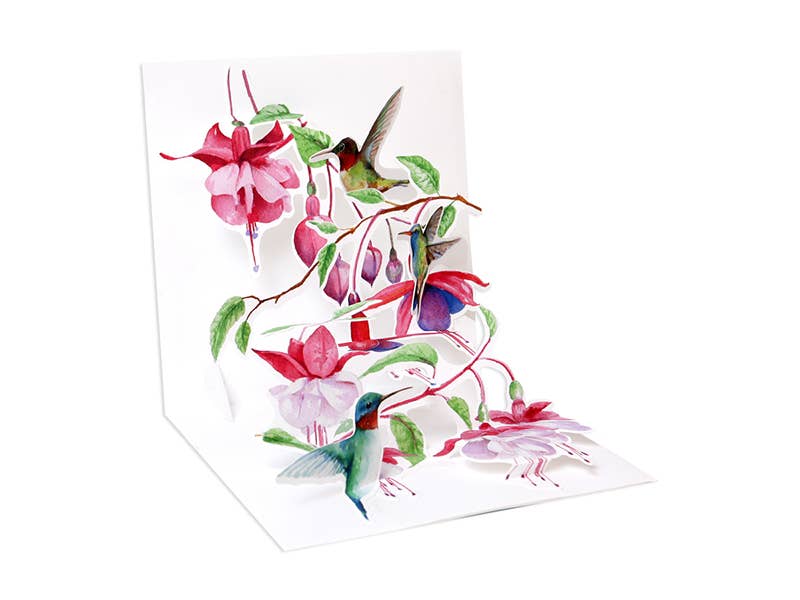 CARTE POP-UP - COLIBRIS