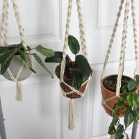 SUPPORT POUR PLANTES EN MACRAMÉ | JARDINIÈRE SUSPENDU D'INTÉRIEUR