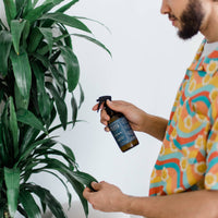 ELIXIR DE PLANTE - PRÊT À L'EMPLOI