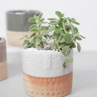 POT - MEULES DE FOIN