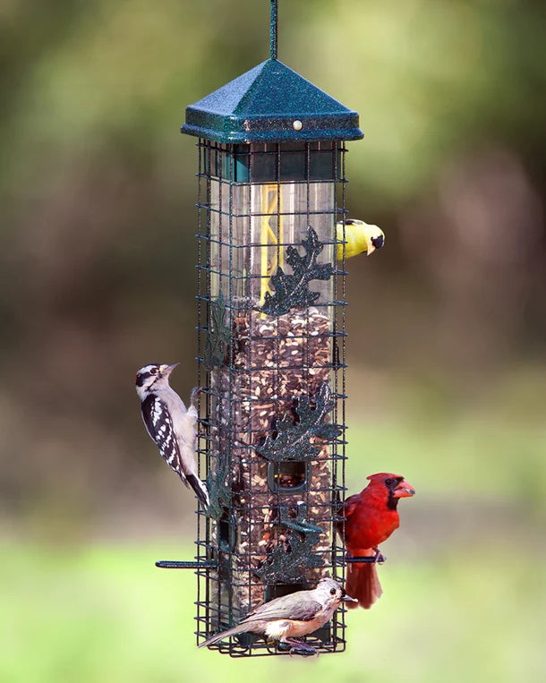 MANGEOIRE SQUIRREL SOLUTION 200
