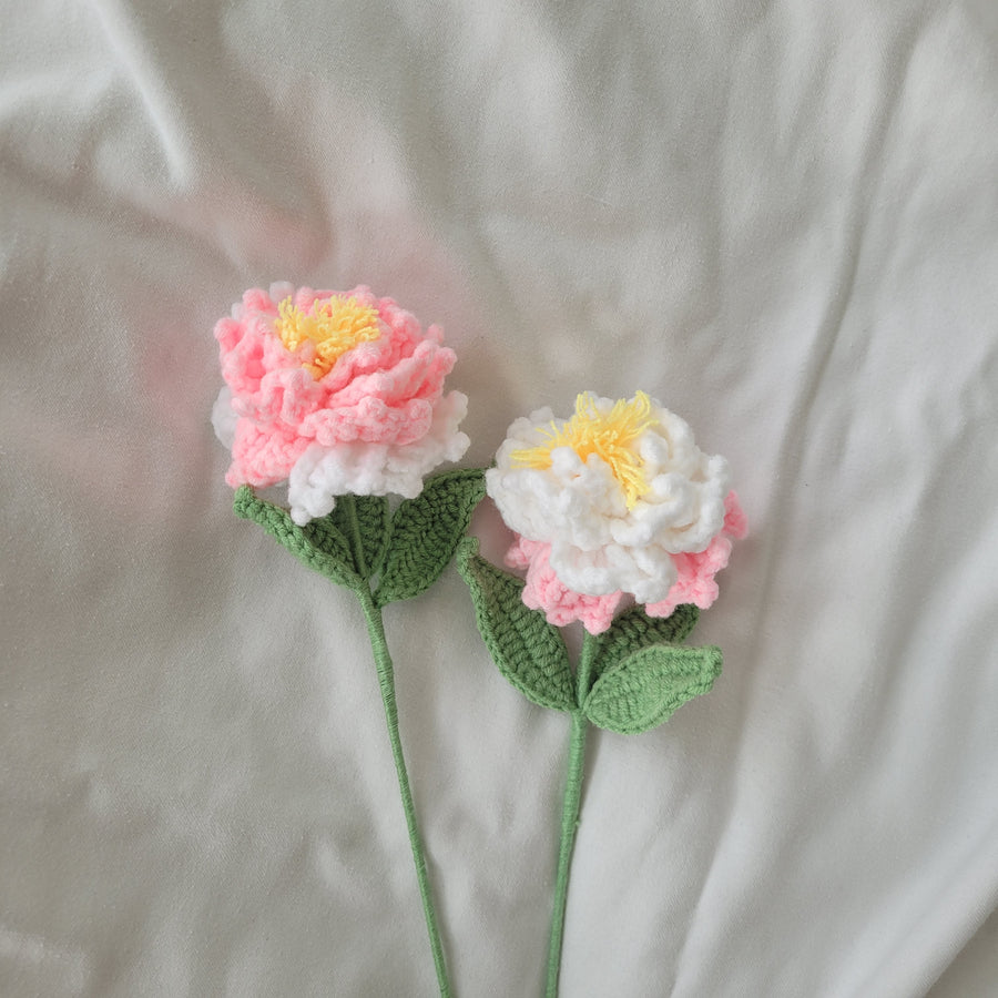 PIVOINE