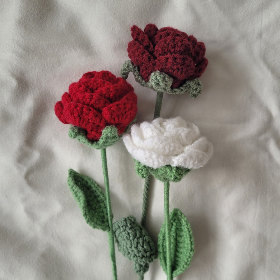 ROSE (COULEUR UNIE)