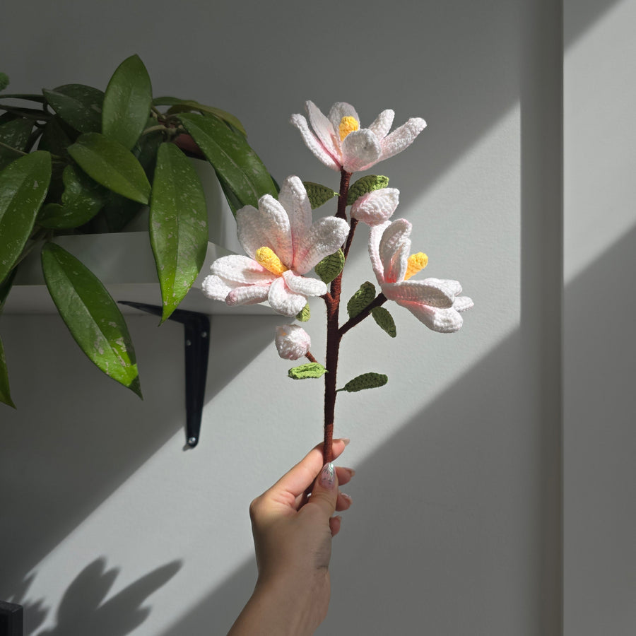 BRANCHE DE MAGNOLIA