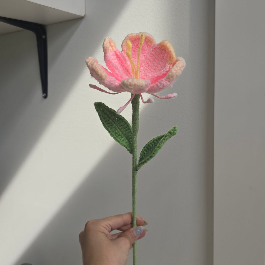 RAINBOW ROSE