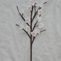 BRANCHE DE CERISIER EN FLEURS (50% DE RÉDUCTION)!