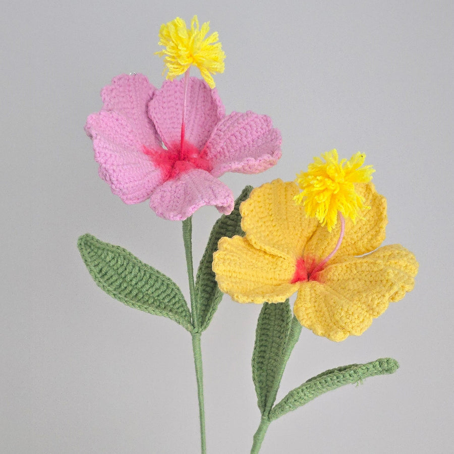 HIBISCUS