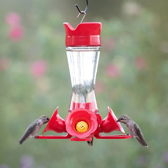 ABREUVOIR COLIBRIS