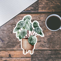AUTOCOLLANT - PLANTE D'INTÉRIEUR