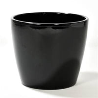 RUBI - POT MAESTRO