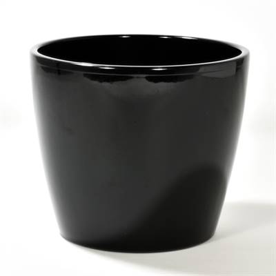RUBI - POT MAESTRO