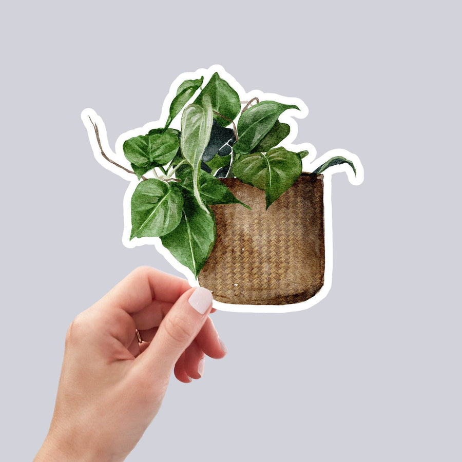 AUTOCOLLANT - PLANTE D'INTÉRIEUR