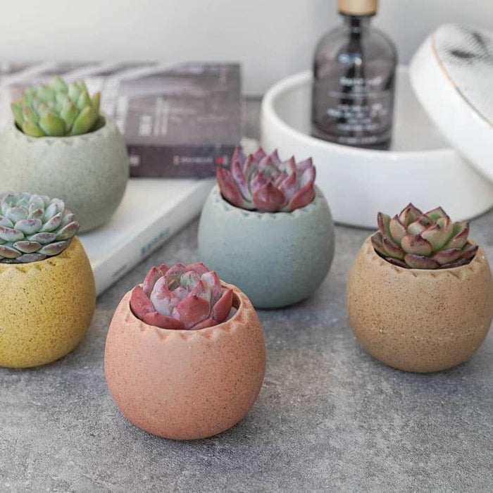 POT - OEUF ARC-EN-CIEL