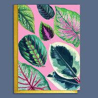 CARTE DE PLANTES D'INTERIEUR À MOTIF ROSE VIF