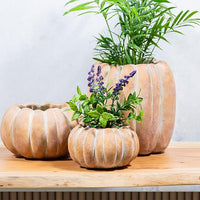 POT EN FORME DE CITROUILLE