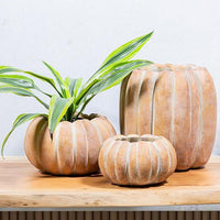 POT EN FORME DE CITROUILLE