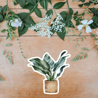 AUTOCOLLANT - PLANTES D'INTÉRIEUR
