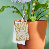 DISCO CACTUS - PIQUET DÉCORATIF POUR PLANTES