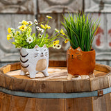 CACHE-POT EN CÉRAMIQUE - CHAT
