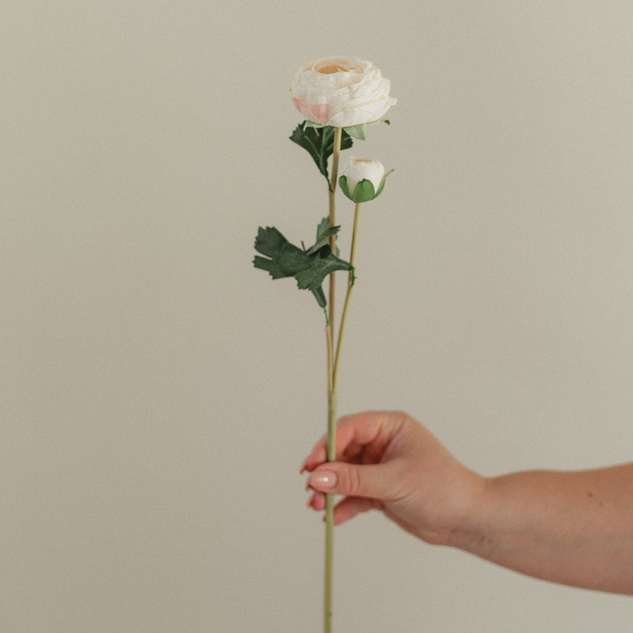 RANUNCULUS