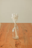 VASE CRUCHE EN VERRE TRANSPARENT