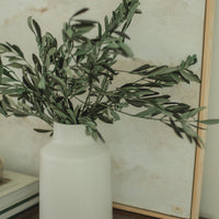 TIGES D'OLIVIER ITALIENNES