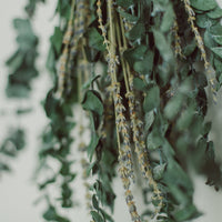 ENSEMBLE DE DOUCHE EN EUCALYPTUS