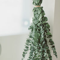 ENSEMBLE DE DOUCHE EN EUCALYPTUS