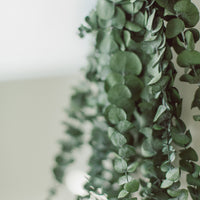 ENSEMBLE DE DOUCHE EN EUCALYPTUS