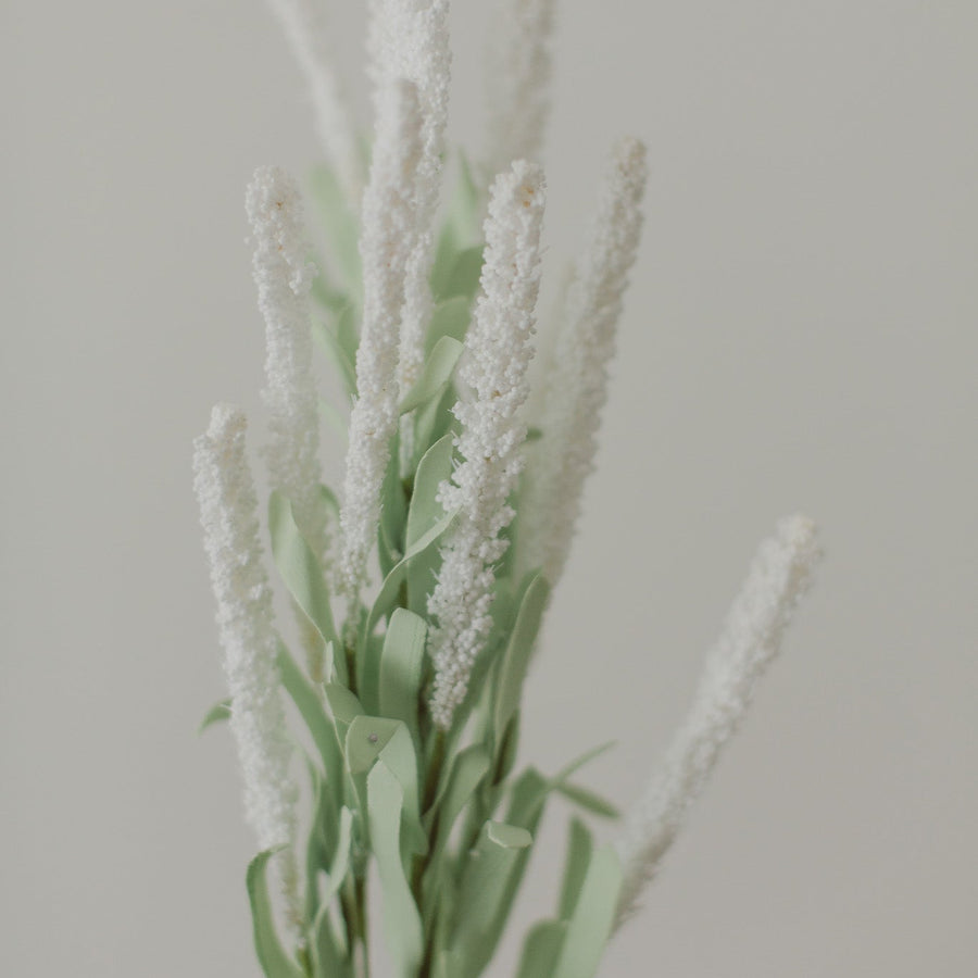 AMARANTH FLOWERS